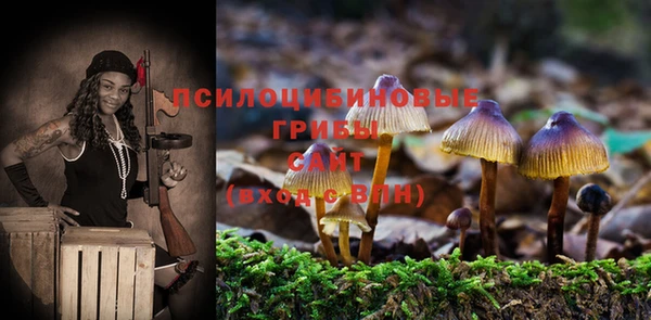мяу мяу мука Сатка