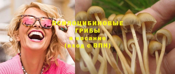 а пвп мука Абаза