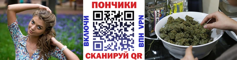 Каннабис гибрид  Покачи 